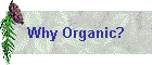 Why Organic?